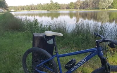 Zomer vakantie 2025